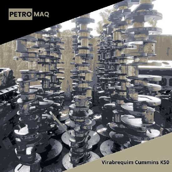 Petromaq Ltda
